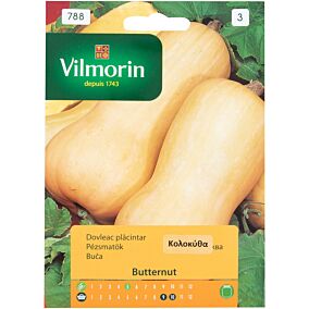 Σπόροι VILMORIN κολοκύθα waltham butternut