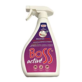 BOSS εντομοκτόνο Active Spray για ακάρεα 300ml