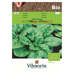 VILMORIN σπόροι Bio σπανάκι Geant Hiver